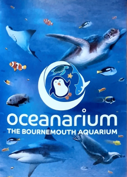 Oceanarium family ticket